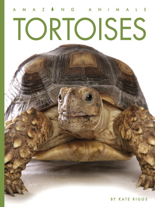 Title details for Tortoises by Kate Riggs - Available